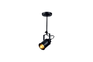 Потолочный светильник DEMIR E27, IP20, черный